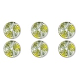 thumbnail of Excelsa lot de 6 assiettes à pizza Panama porcelaine 31 cm vert