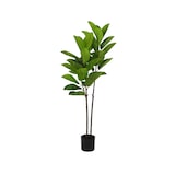 thumbnail of Pianta Ficus Elastica 140 Cm