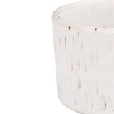 thumbnail of Olympia Cavolo dipschaaltjes met witte stippen - 67 mm (12 stuks)