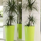 thumbnail of EURO3PLAST  Tuit Pflanztopf TUIT Ø33cm