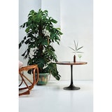 thumbnail of SIT Möbel Tom Tailor Beistelltisch 60x60 cm | T-Modern Couch Table medium | Mangoholz | Serie TOM TAILOR | B 60 x T 60 x H 50 cm | Platte antikbraun