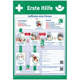 thumbnail of Aushang, Erste Hilfe gem. DGUV Information 204-001, 595 x 410 mm - 410x595 mm Folie selbstklebend