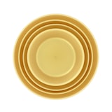 thumbnail of MONOUSO - Wiederverwendbare Plastikteller PP-MF Gold Ø23,5cm (6 Stück)