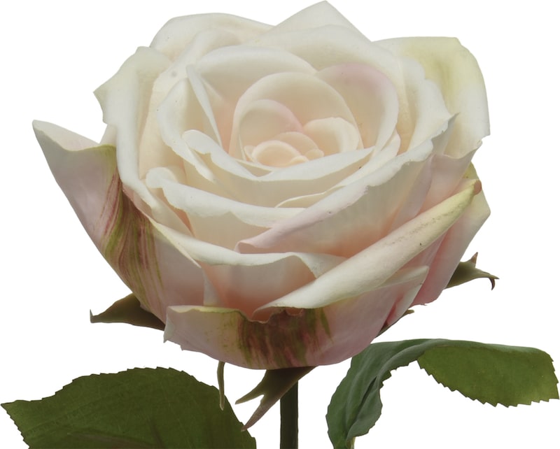 mobile_image