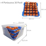 thumbnail of Porta-ovos Gn2/3+4 Band Branco