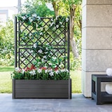 thumbnail of Stefanplast fioriera rettangolare Italia con spalliera, grigio
