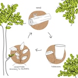 thumbnail of BIOZOYG 500 Stück Einweg-Besteck-Set Partybesteck Biobesteck kompostierbar, Holzbesteck Holzlöffel bestehend aus Einweglöffel und Recycling-Serviette