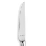 thumbnail of Amefa TENDENCE Menümesser Vollheft - 12 Stück