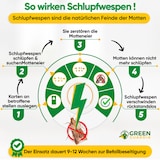 thumbnail of Schlupfwespen gegen Kleidermotten: 4x Lieferungen zur Vollbehandlung / 3