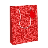 thumbnail of Clairefontaine 6x Geschenktasche L 26,5x14x33 cm, Excellia, Herze - Rot 30633-2C