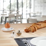 thumbnail of Westmark 24 Mini-Universalstreuer, im Display mit EAN, 63072611