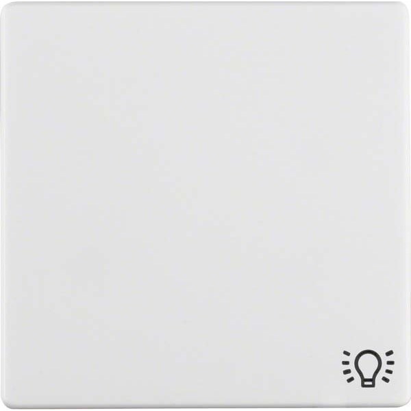 Berker Wippe 16206049