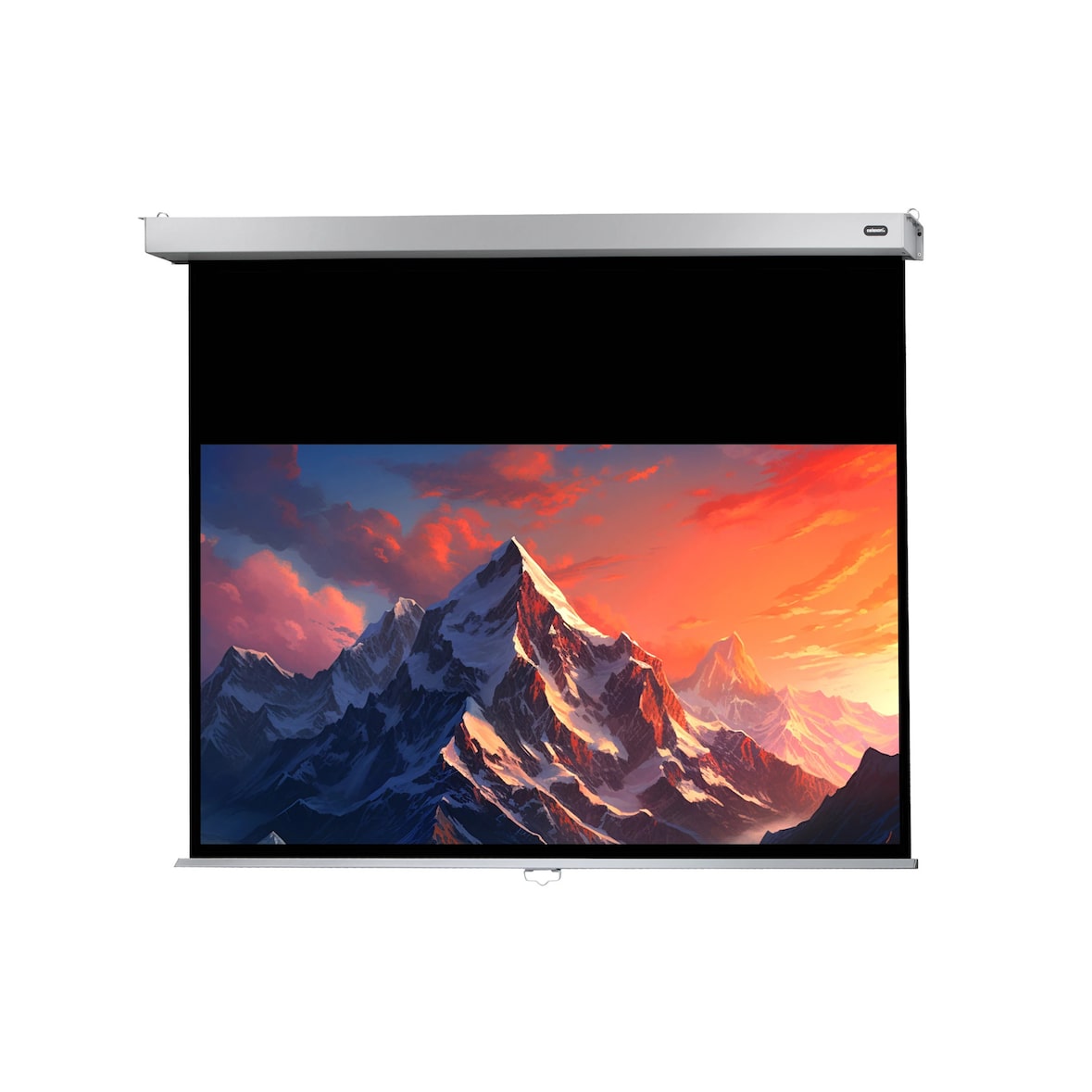 celexon Leinwand Rollo Professional Plus 300 x 169 cm - 136`