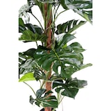 thumbnail of VERT ESPACE plante artificielle philo tuteur coco new 160 cm
