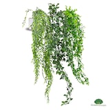 thumbnail of GreenDream® 3 Verschillende Hangplanten Kunstplanten in Pot - decoratief - Cadeautip - Groen