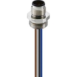 thumbnail of Belden Einbaustecker M12 RSFM 4/0,5m 26144
