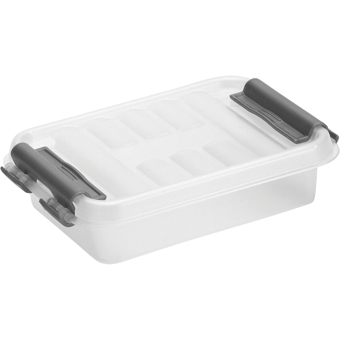 helit Aufbewahrungsbox 0,2L - transparent