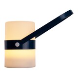 thumbnail of LED Dekoleuchte "NEO" blau