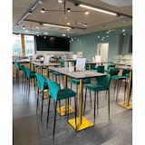 thumbnail of Louis Barhocker Grün, velours gepolstert, feuerhemmend, 50x47x105cm (BxTxH), 52102