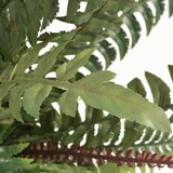 thumbnail of vidaXL Künstliche Farnpflanze mit Topf 60 cm Grün