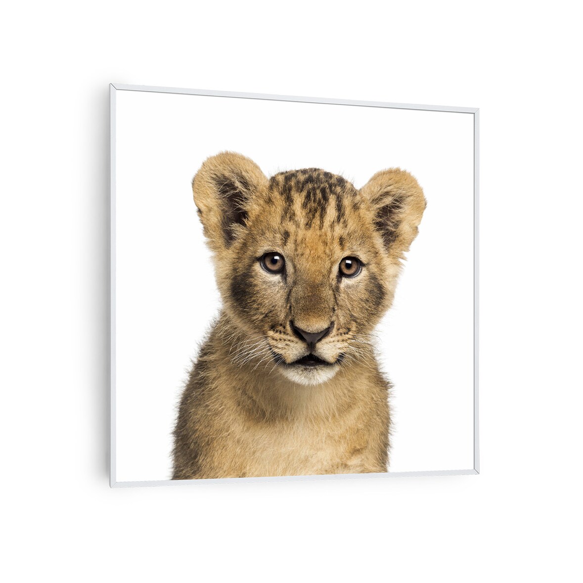 Wonderwall Air Art Smart Infrarotheizung Löwe 60x60cm 350W Mehrfarbig