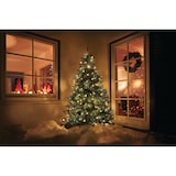 thumbnail of Tarrington House LED Lichterkette, PVC, 9.9 m, 100 LED, 3.6 W, warmweiß