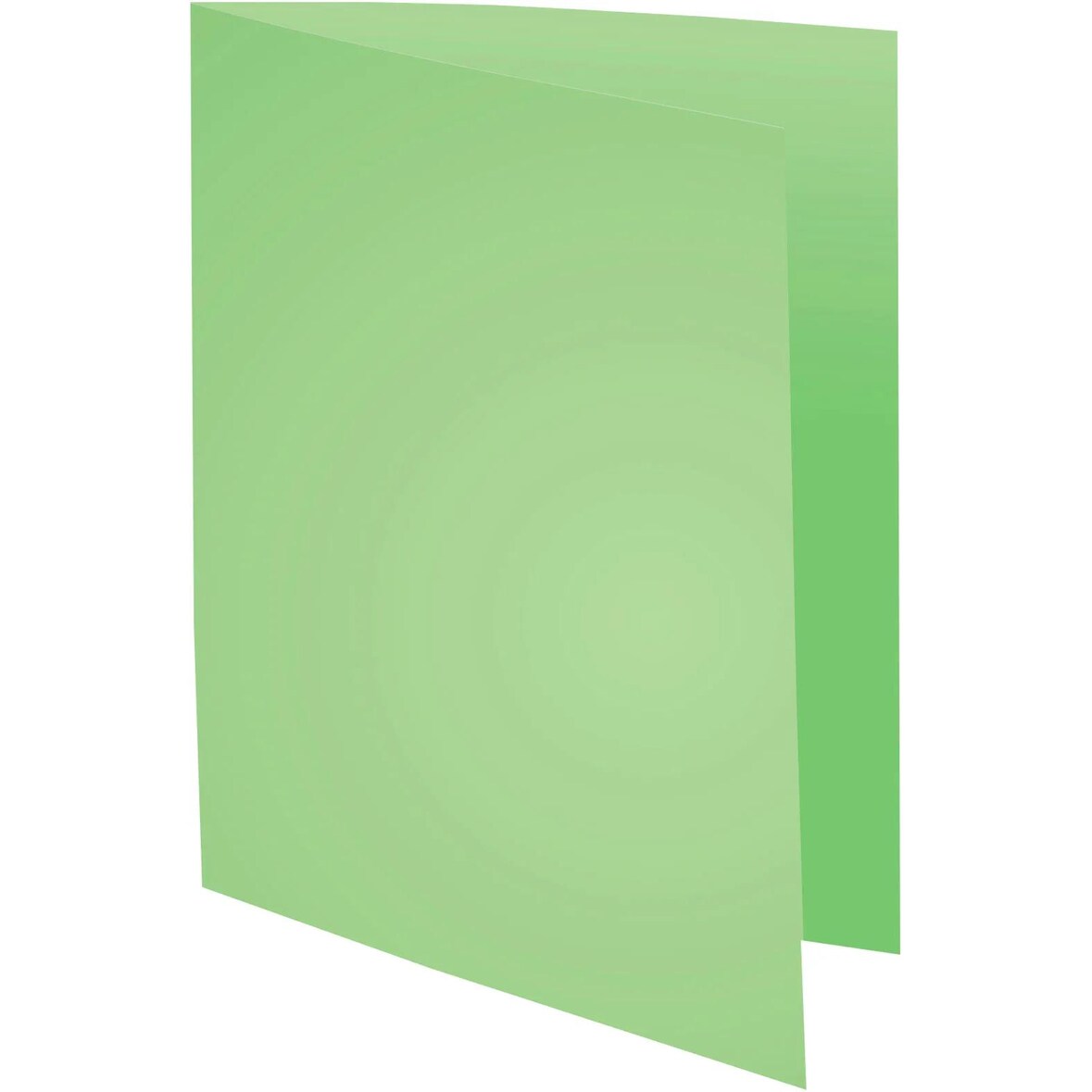 Exacompta  Cod. 421004E - Cartelle semplici con bordo più stretto Forever® 170 - F.to 24x32cm -  verde prato  - 5 Confezioni da 100 pz.