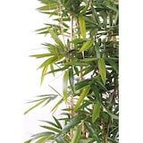thumbnail of VERT ESPACE plante artificielle bambou new haie uv resistant 150 cm