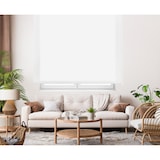 thumbnail of Transluzentes Rollo 100x250 cm Polyester Beige Naturals