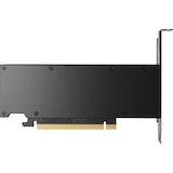 thumbnail of HP NVIDIA RTX 2000 Ada - Grafikkarten - NVIDIA RTX 2000 Ada