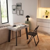 thumbnail of Ausziehbarer Konsolentisch, 262x90x73cm, Für 12 Personen, Holzbeine, Moderner Stil, Zementgrau _ 346_21