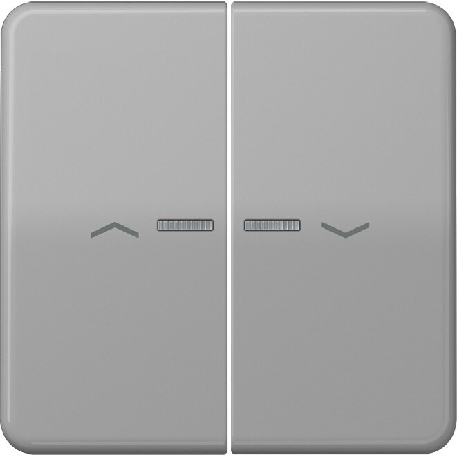 Jung Wippe Symbole/Lichtl.gr CD 595 KO5P GR CD595KO5PGR