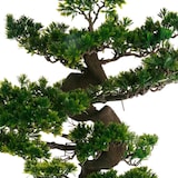 thumbnail of WellHome - Künstlicher Bonsai für drinnen und draußen, 20x20x17,5cm