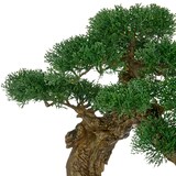 thumbnail of CREATIV green künstliche Pflanze Bonsai Zeder im schwarzen Magnesia-Topf, 80x60cm, UV-beständig
