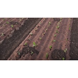 thumbnail of Tecido de cobertura vegetal Papel Kraft 0,9 x 20m Auto-degradável para jardim Controlo de ervas daninhas 100% celulose