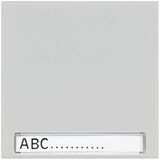 thumbnail of Jung Wippe Schriftfeld lgr LS 990 NA LG LS990NALG