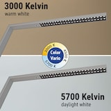 thumbnail of LED-Standleuchte Maulsirius  Beweg.- Lichtsensor col. var. silber