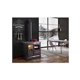 thumbnail of Cuisinière à bois sans bouilleur ROSAL.16ACIER