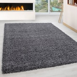 thumbnail of Teppich Hochflor Langflor Uni Kuschelig Waschbar Strapazierfähig Wohnzimmer Schlafzimmer OEKO-TEX Grau 120x170 cm – RHEIN von Kadima Design