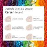 thumbnail of Haribo™ Duftkerze Loved One, 2 Dochte, HxD: 13 x 10 cm, 100h Brenndauer, Kerze im Glas, Johannisbeere & Vanille, rot
