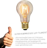 thumbnail of Illu- Party Garten Lichterkette Außenlichterkette 5m weiß 10 LED Edison Filament