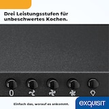 thumbnail of Exquisit Kamin-Dunstabzugshaube, 60cm Breite, Umluft, Abluft, 68 Watt, KH 60-8.3 inox