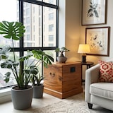 thumbnail of OPIUM OUTLET Truhe Kasten Kiste Box Aufbewahrung Möbel aus Holz "CHEST-01" braun mit Deckel Schatztruhe Vintage kolonial chinesisch asiatisch