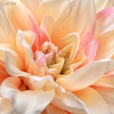 thumbnail of LAYBA Künstliche Dahlie 3er-Set Creme Apricot 60 cm