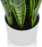 thumbnail of Kunstpflanze / Kunstbaum SANSEVIERIA Bogenhanf 65 cm Kunststoff grün hjh OFFICE