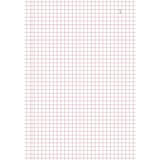 thumbnail of Exacompta - Réf. 3251E - Paquet de 10 Manifolds quadrillés 5x5 21x14,8cm 50 feuillets tripli autocopiants