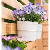thumbnail of Hecht International 203700108-HE Kräuter Blumen Balkon Blumentopfhalter FLORES