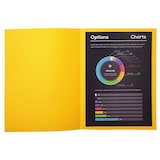 thumbnail of Exacompta - Réf. 210011E - Paquet de 100 chemises rigides ROCK''S 210 g/m2 - dim 24 x 32 cm pour A4 - jaune citron