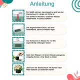 thumbnail of 4 Nass Steckschaum Kugeln 9cm Frischblumen Schnittblumen Blumen Steckmasse Steckschwamm Blumensteckschaum Rund Floristik Zubehör Floristikbedarf Grün