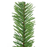 thumbnail of Tarrington House künstlicher Weihnachtsbaum, PVC, Ø 71 x 120 cm, mit Ständer, zusammenfaltbar, grün